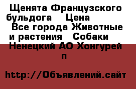 Щенята Французского бульдога. › Цена ­ 45 000 - Все города Животные и растения » Собаки   . Ненецкий АО,Хонгурей п.